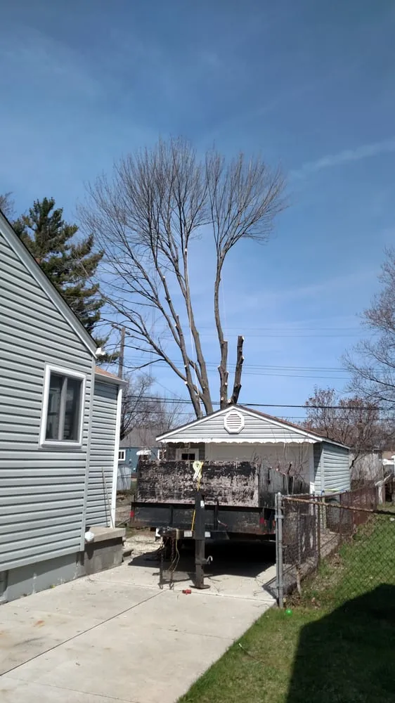 Top-rated landscaping services in Garden City, MI by Tree Frogs Landscape & Tree Service