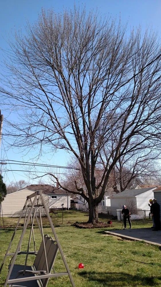 Trusted landscape design experts serving Garden City, MI - Tree Frogs Landscape & Tree Service