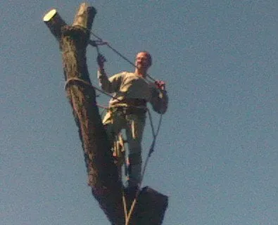 Custom lawn care service in Garden City, MI by Tree Frogs Landscape & Tree Service