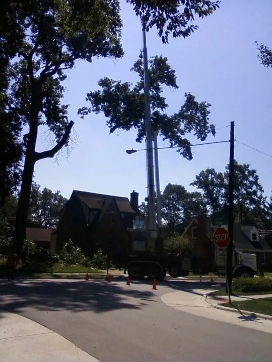 Trusted landscape design with custom design in Garden City, MI by Tree Frogs Landscape & Tree Service