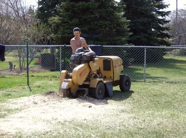 Top-rated landscape design in Garden City, MI by Tree Frogs Landscape & Tree Service