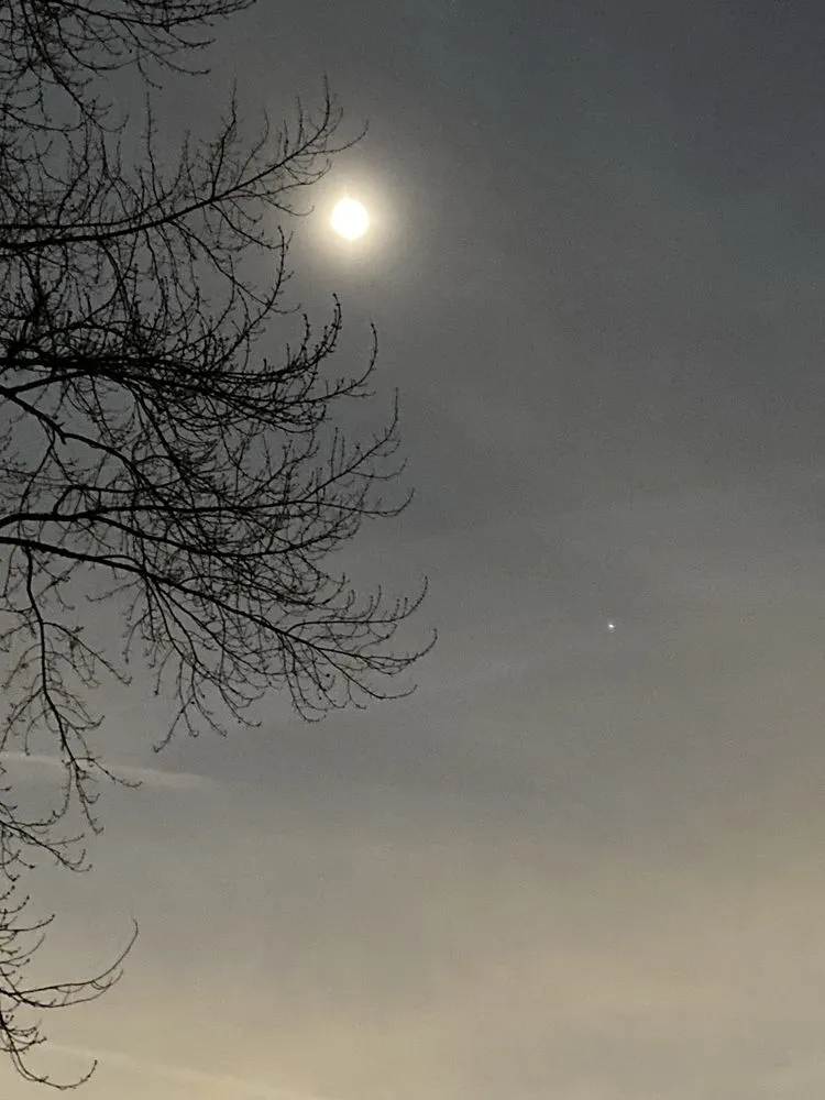 Reliable lawn mowing service in Cleveland, OH - Tree Gods Tree Service