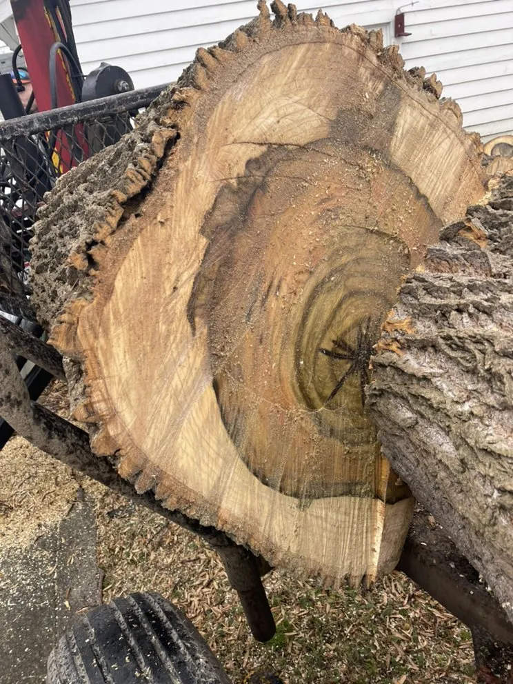 Trusted landscaping services in Cleveland, OH by Tree Gods Tree Service