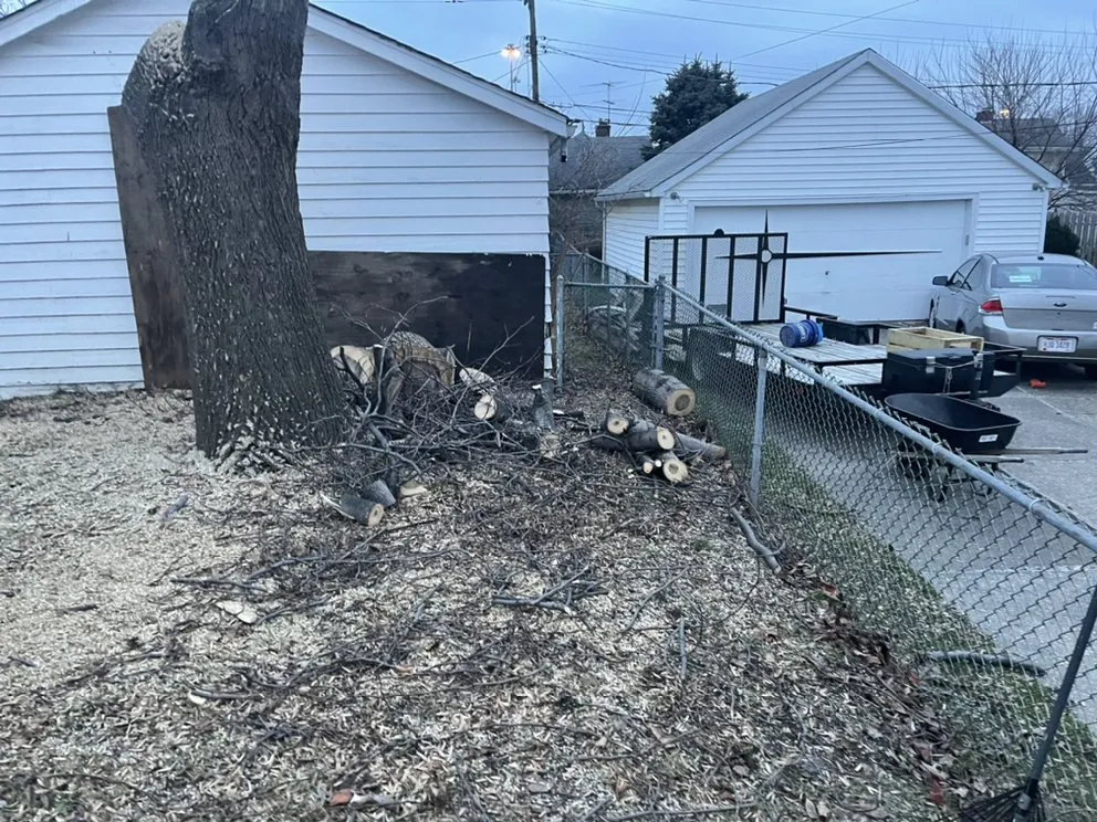 Top-rated yard cleanup service in Cleveland, OH - Tree Gods Tree Service