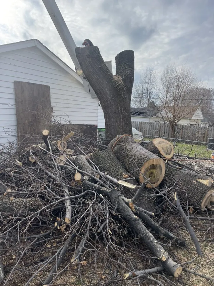 Local outdoor landscaping in Cleveland, OH - Tree Gods Tree Service
