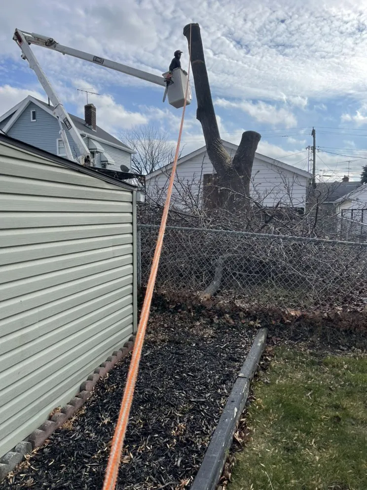 Local outdoor landscaping experts serving Cleveland, OH - Tree Gods Tree Service