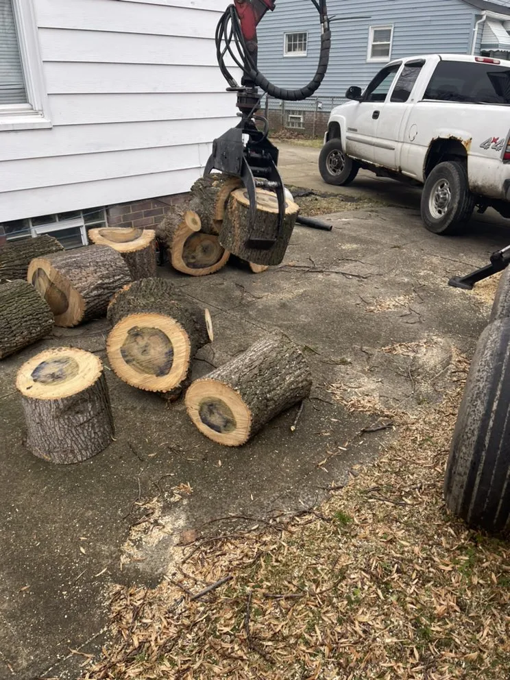 Affordable yard maintenance in Cleveland, OH by Tree Gods Tree Service
