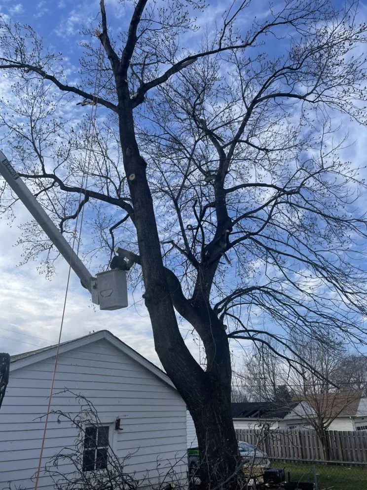 Trusted landscape installation for outdoor upgrades in Cleveland, OH by Tree Gods Tree Service