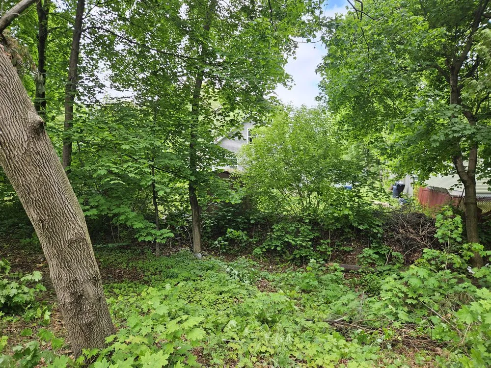 Custom landscape design for residential properties across Winterport, ME - Tree Gone & More