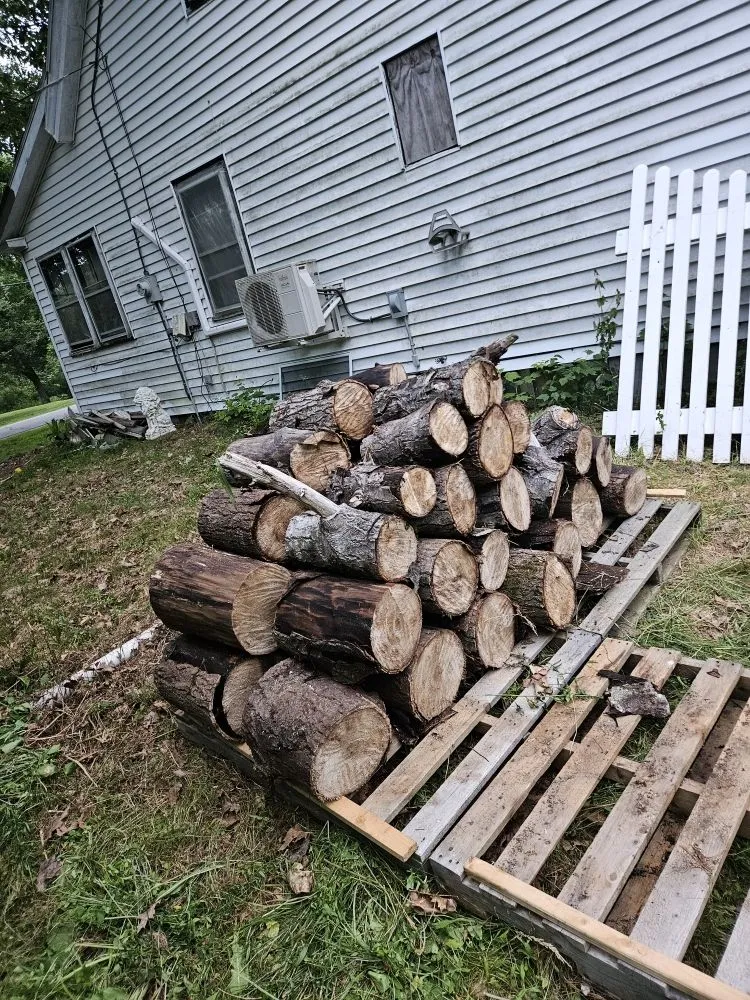 Affordable yard cleanup service in Winterport, ME by Tree Gone & More