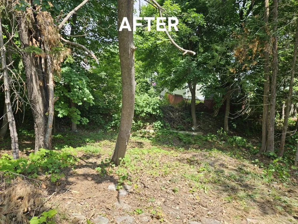Top-rated yard maintenance in Winterport, ME - Tree Gone & More