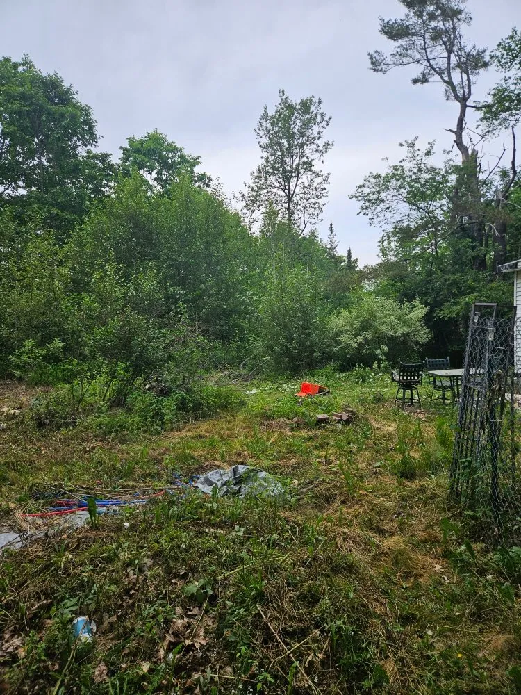 Affordable landscape installation in Winterport, ME - Tree Gone & More