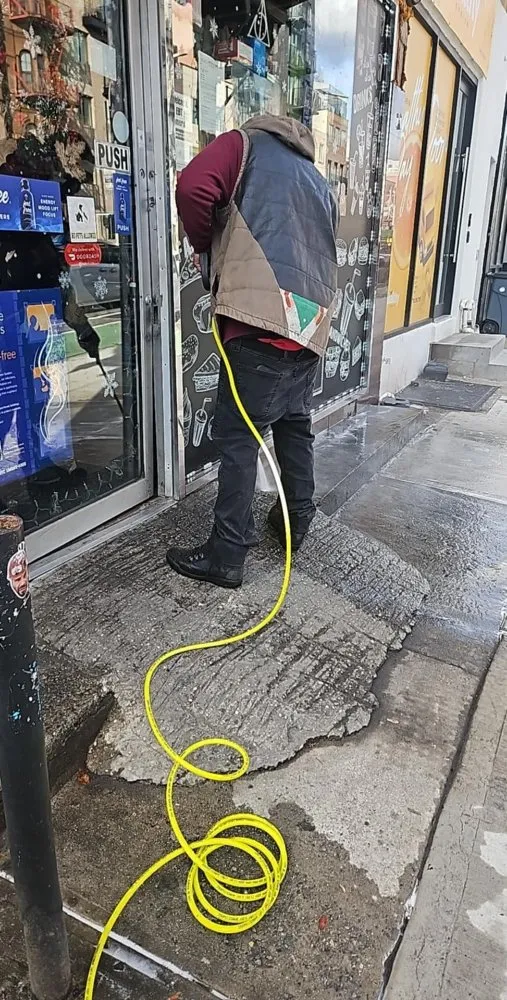 Top-rated landscape design in New York, NY - Tree Green Family