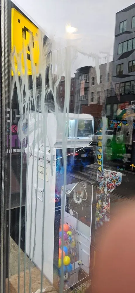 Affordable outdoor landscaping in New York, NY - Tree Green Family