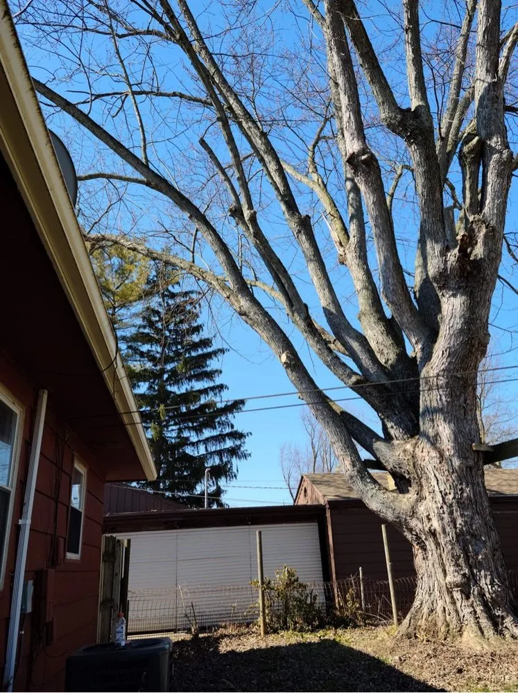 Custom landscape design in Dayton, OH by Tree Guys of Montgomery County