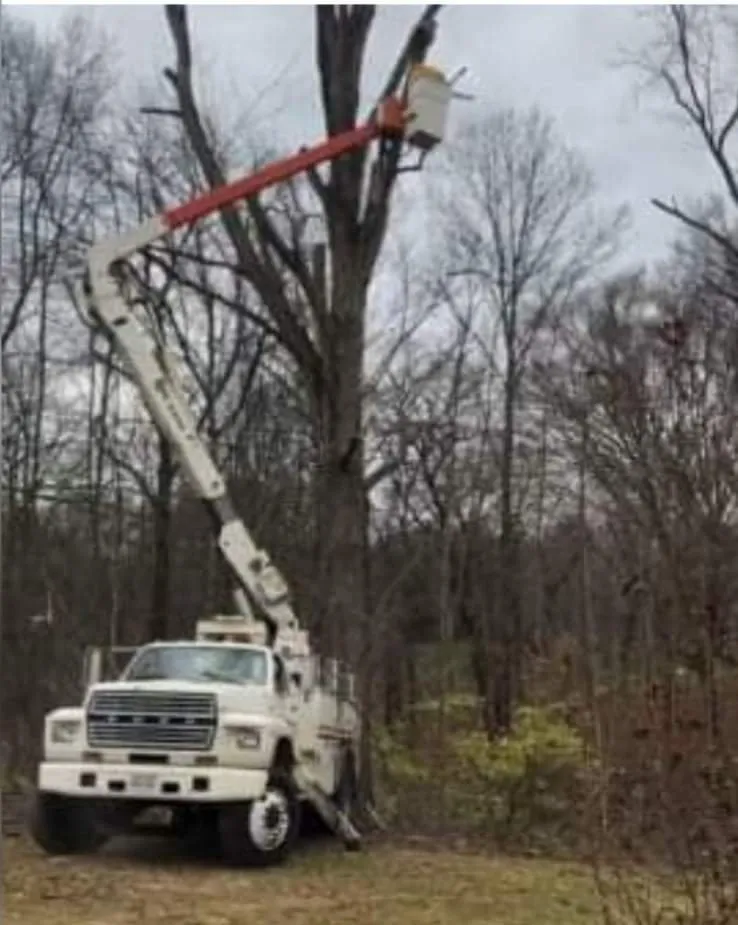 Local outdoor landscaping experts serving Dayton, OH - Tree Guys of Montgomery County