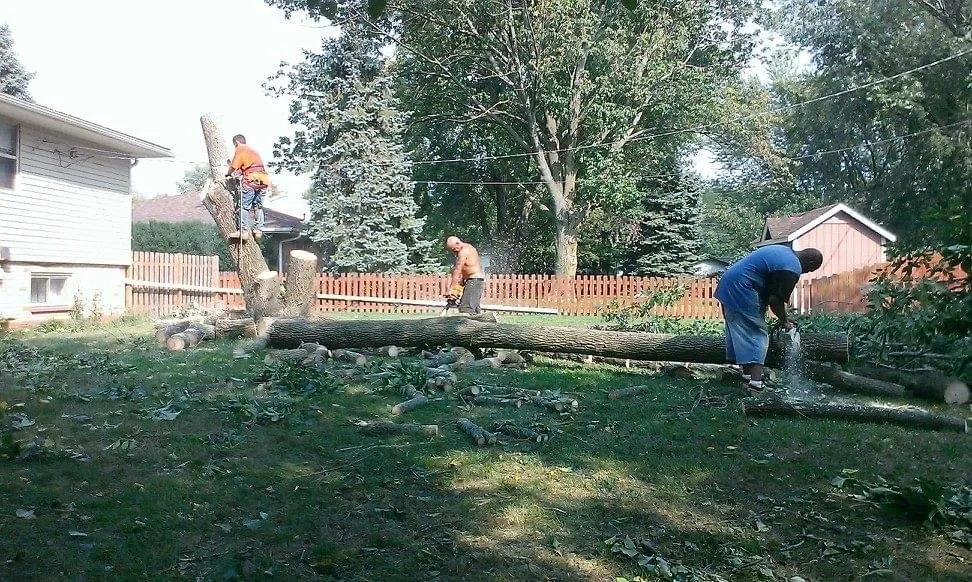 Custom yard maintenance in Dayton, OH by Tree Guys of Montgomery County