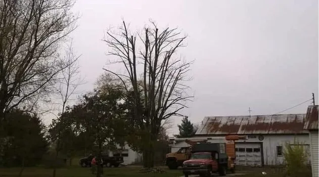 Top-rated residential landscaping in Dayton, OH by Tree Guys of Montgomery County