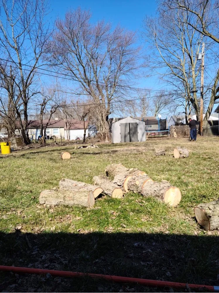 Custom landscape installation experts serving Dayton, OH - Tree Guys of Montgomery County