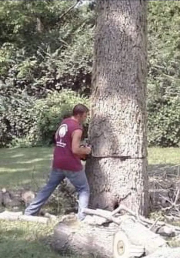 Professional yard cleanup service in Dayton, OH by Tree Guys of Montgomery County