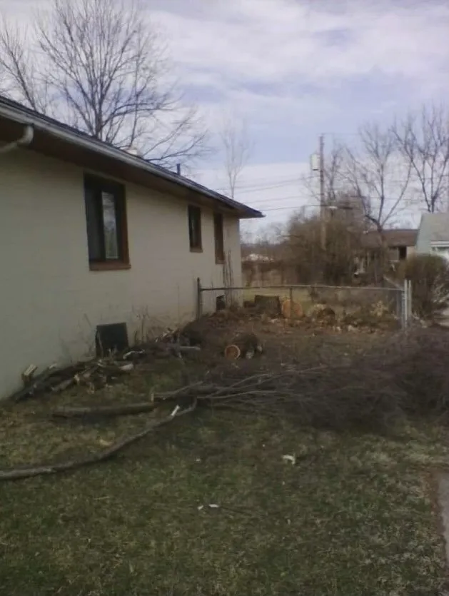 Local outdoor landscaping experts serving Dayton, OH - Tree Guys of Montgomery County