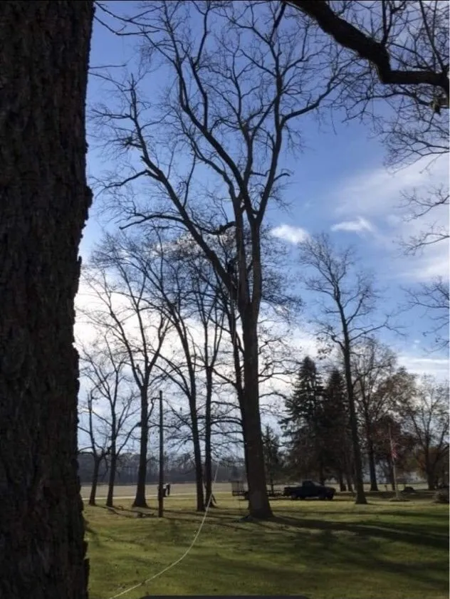 Custom residential landscaping experts serving Dayton, OH - Tree Guys of Montgomery County