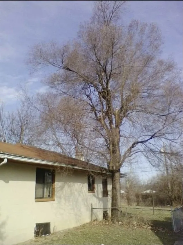 Expert lawn mowing service in Dayton, OH by Tree Guys of Montgomery County