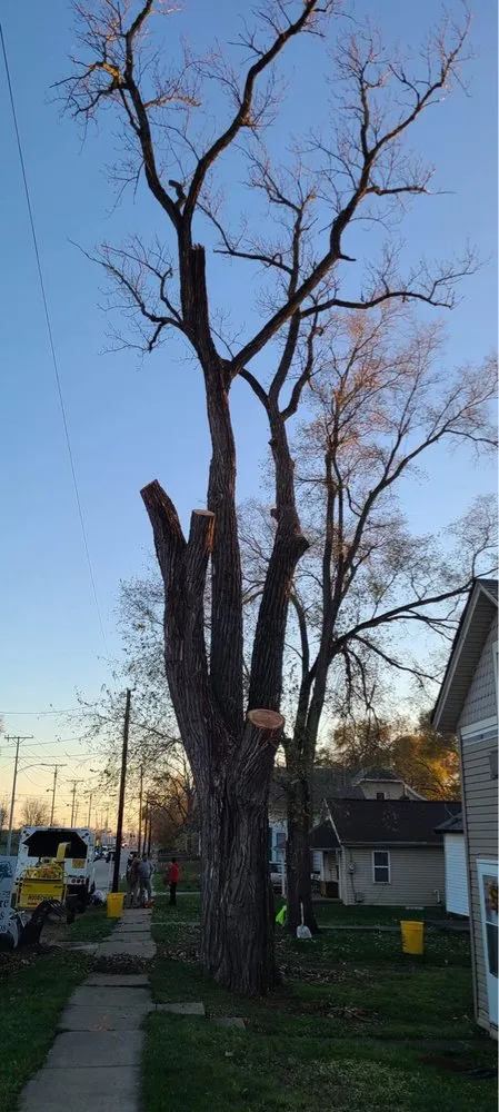 Professional yard cleanup service for outdoor upgrades across Dayton, OH - Tree Guys of Montgomery County