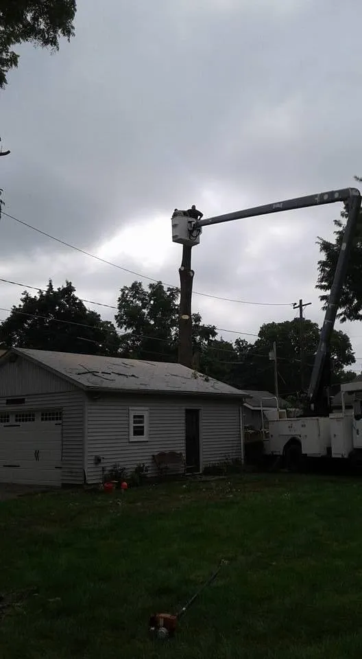 Trusted landscaping services in Dayton, OH by Tree Guys of Montgomery County