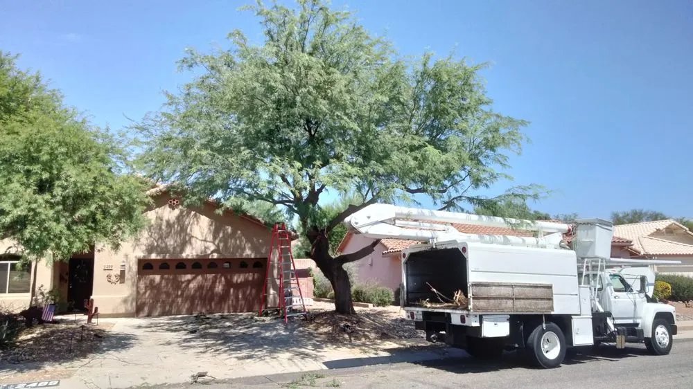 Expert lawn care service in Sahuarita, AZ by Tree Huggers