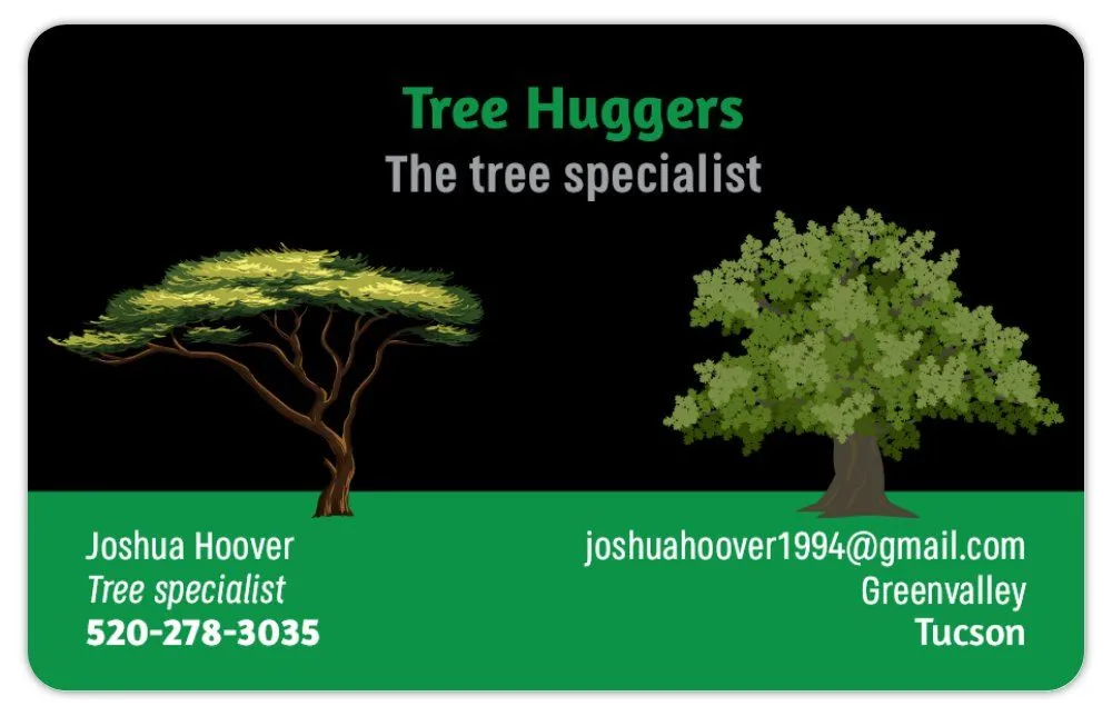 Professional yard cleanup service experts serving Sahuarita, AZ - Tree Huggers