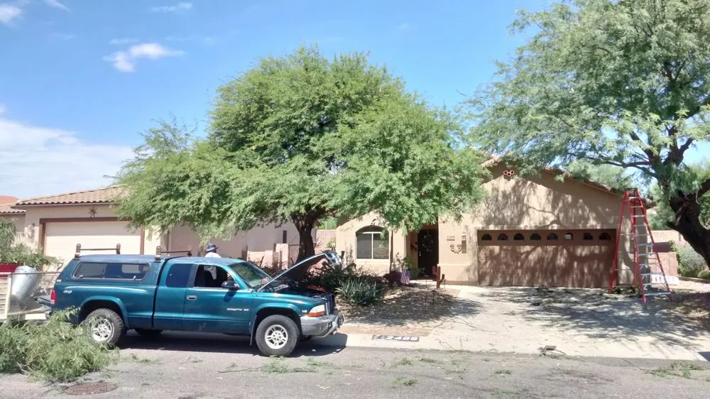 Affordable garden landscaping for year-round maintenance across Sahuarita, AZ - Tree Huggers