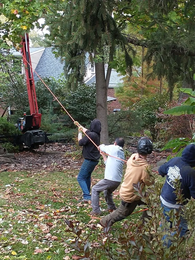 Expert residential landscaping for residential properties in Cincinnati, OH by Tree Images