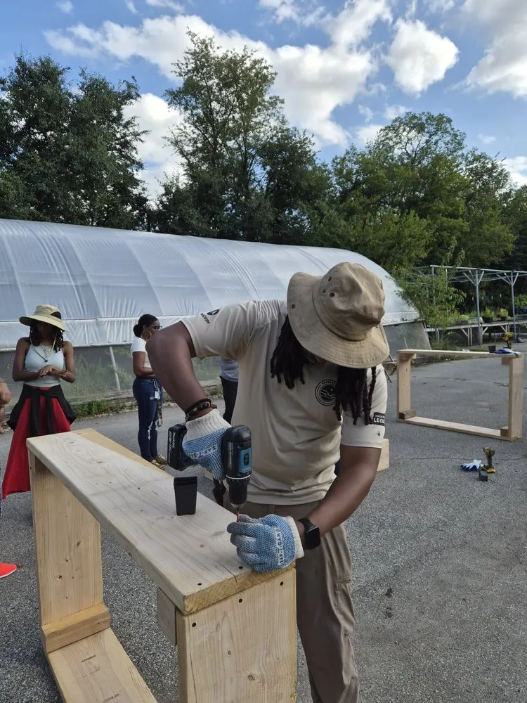 Trusted residential landscaping in Philadelphia, PA - Tree In Me