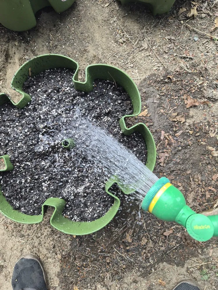 Reliable garden landscaping in Philadelphia, PA by Tree In Me