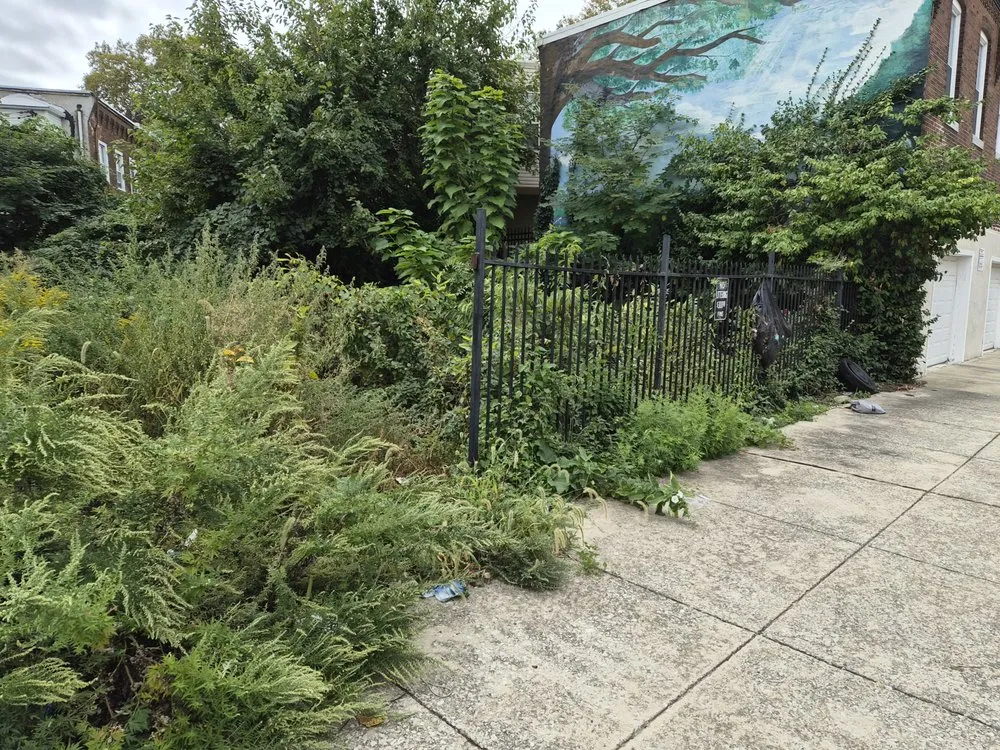 Custom residential landscaping in Philadelphia, PA by Tree In Me