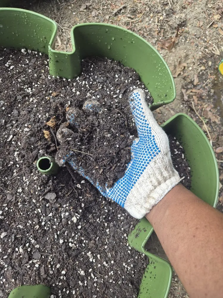 Expert garden landscaping for outdoor upgrades across Philadelphia, PA - Tree In Me