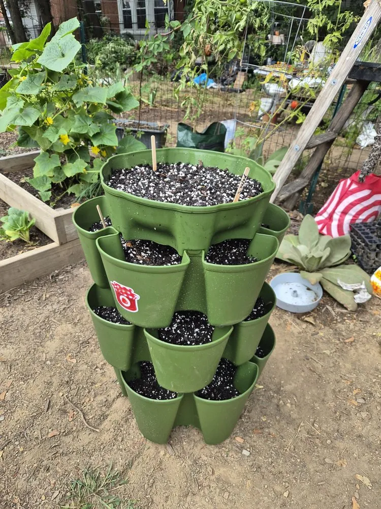 Expert residential landscaping for year-round maintenance in Philadelphia, PA by Tree In Me