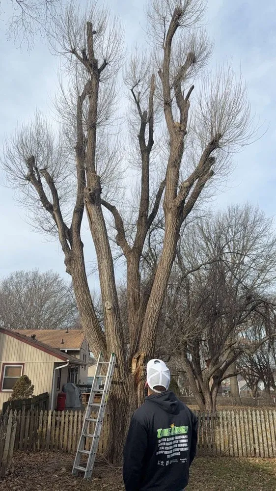 Local landscaping services with custom design across Blue Springs, MO - Tree Kings