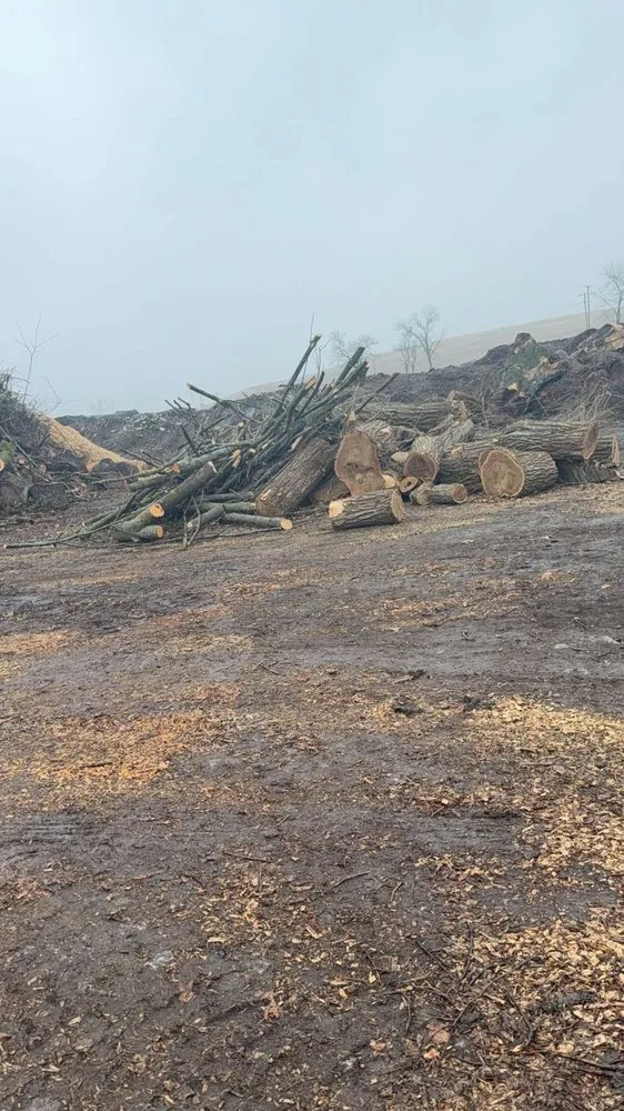 Custom lawn care service in Blue Springs, MO - Tree Kings