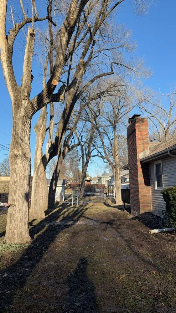 Trusted landscape installation with custom design across Blue Springs, MO - Tree Kings