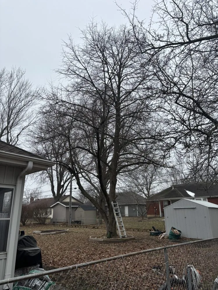 Local yard cleanup service experts serving Blue Springs, MO - Tree Kings