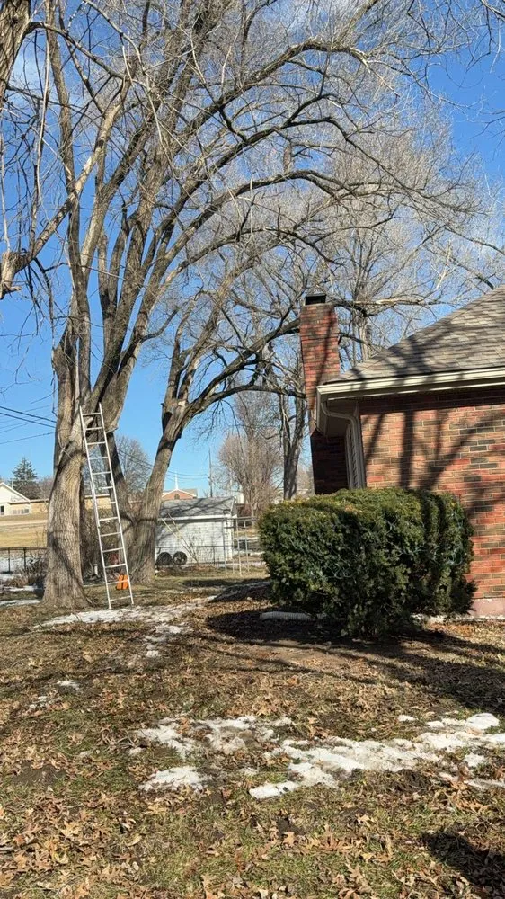 Trusted landscape design with custom design across Blue Springs, MO - Tree Kings