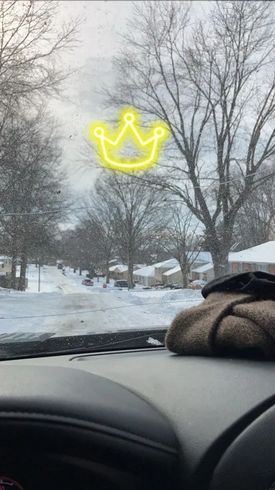 Affordable lawn care service in Blue Springs, MO - Tree Kings