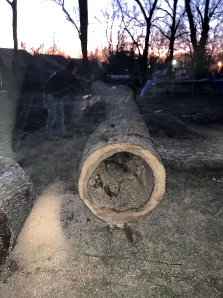 Local landscaping services in Blue Springs, MO by Tree Kings