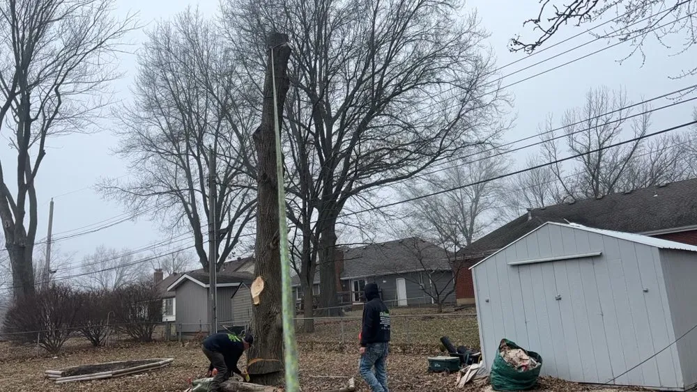 Local outdoor landscaping experts serving Blue Springs, MO - Tree Kings