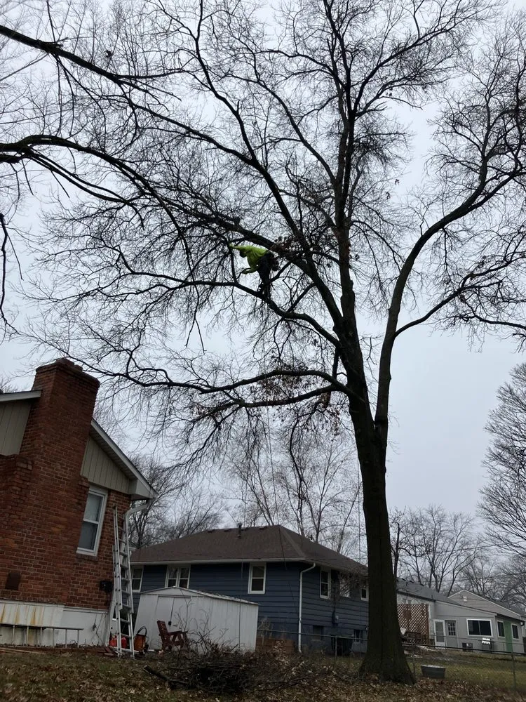 Top-rated landscape installation near you across Blue Springs, MO - Tree Kings