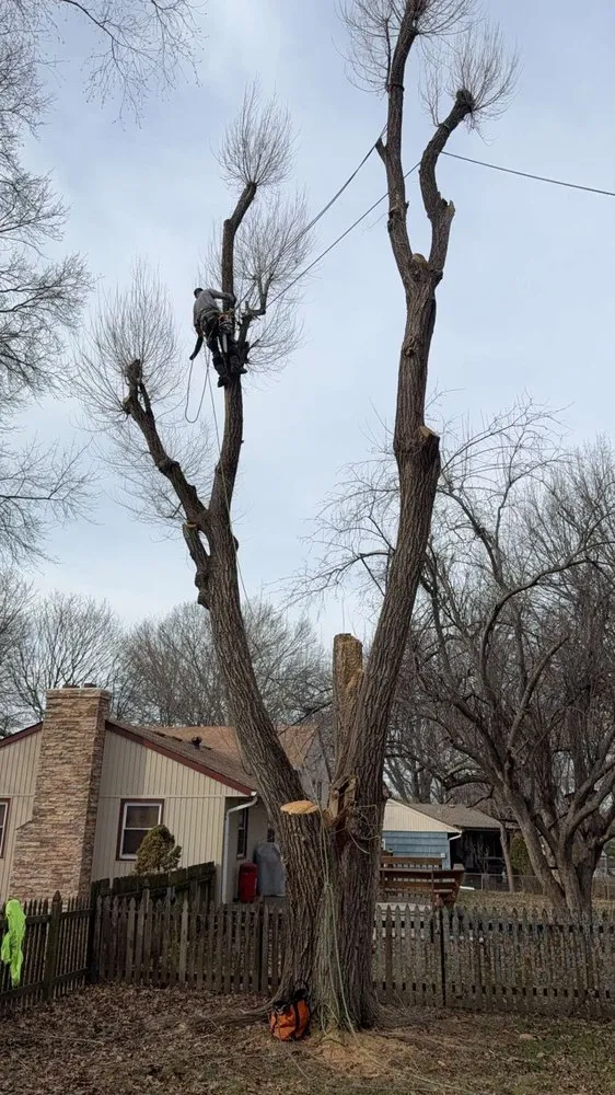 Custom garden landscaping experts serving Blue Springs, MO - Tree Kings