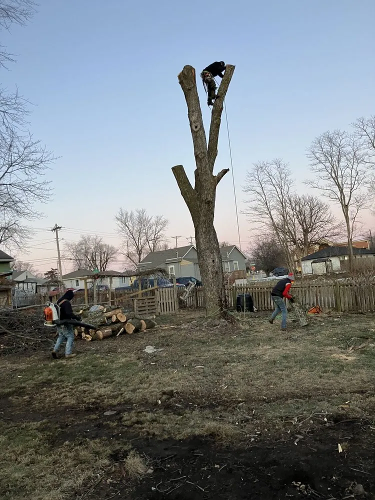Custom residential landscaping for year-round maintenance across Blue Springs, MO - Tree Kings