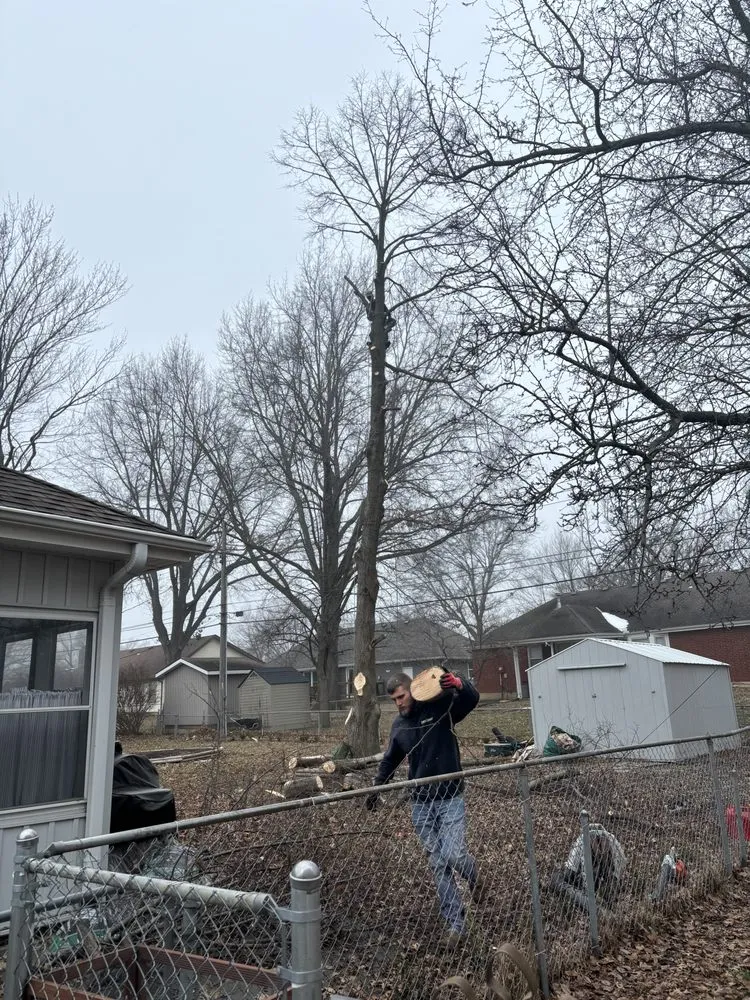 Professional outdoor landscaping experts serving Blue Springs, MO - Tree Kings